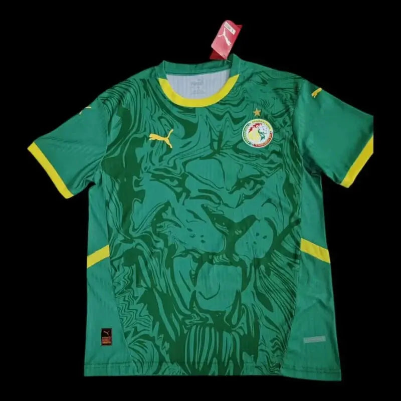 Sénégal Maillot Extérieur 25/26