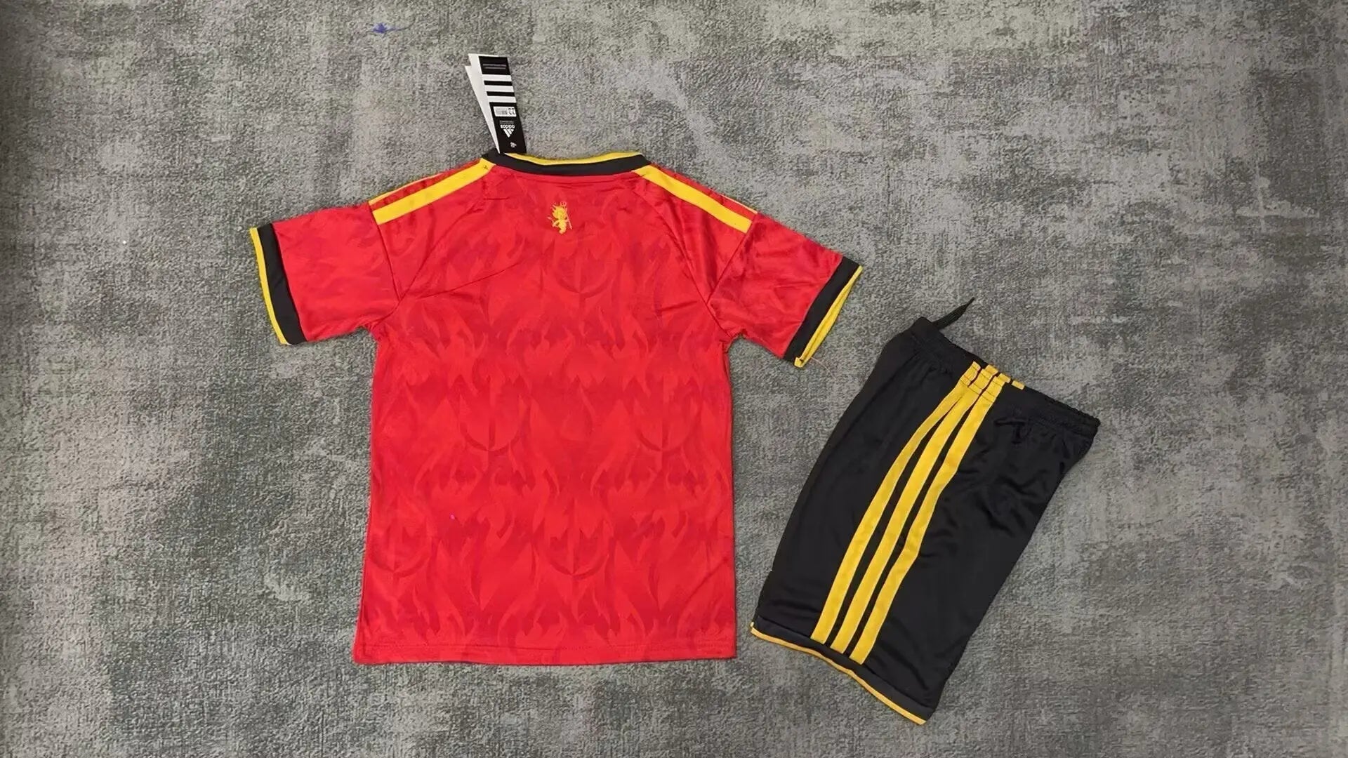 Ensemble Belgique coupe du monde 2026